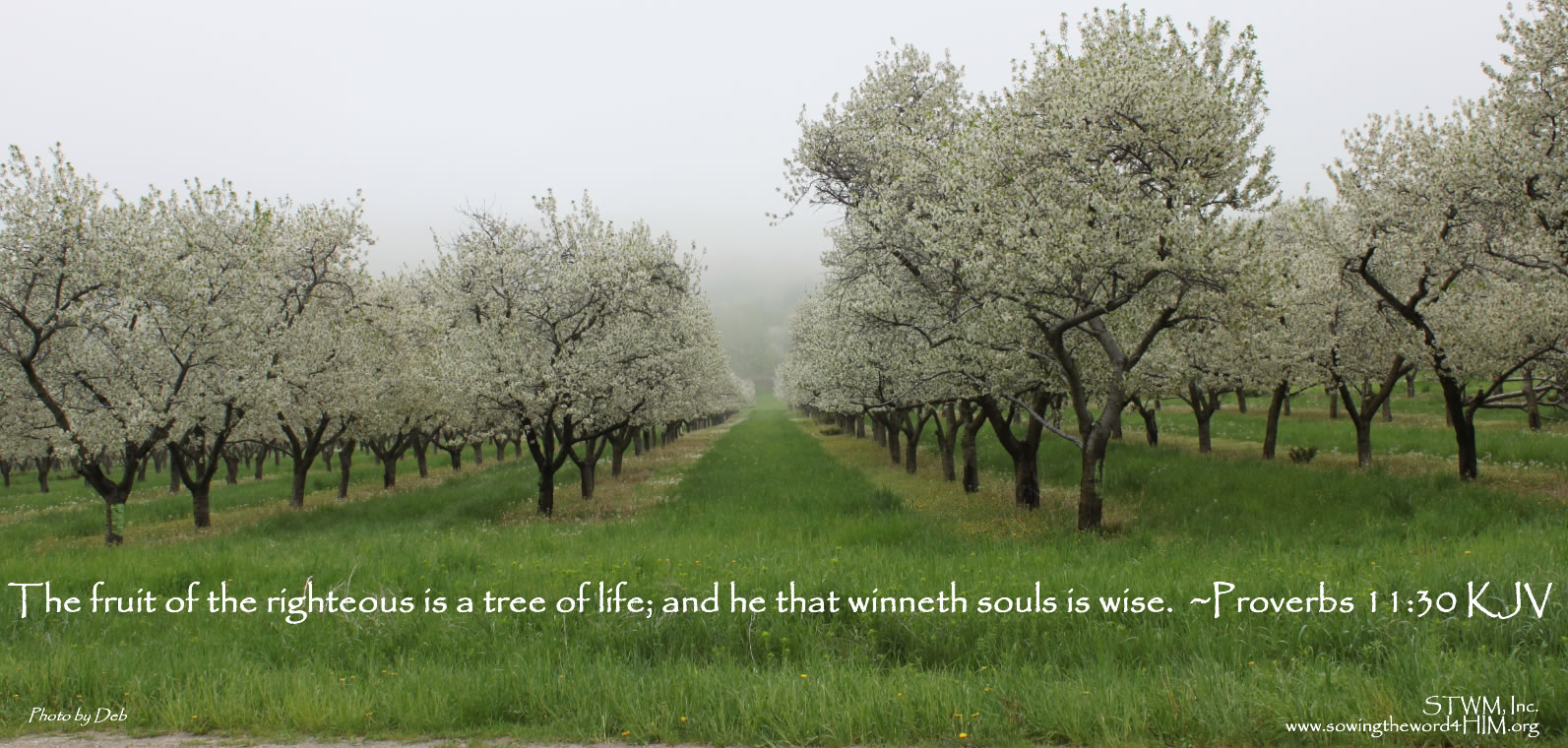 Fruitfulness_Proverbs[1]